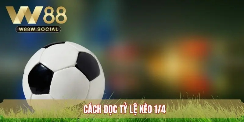 Cách đọc tỷ lệ kèo chấp 1/4