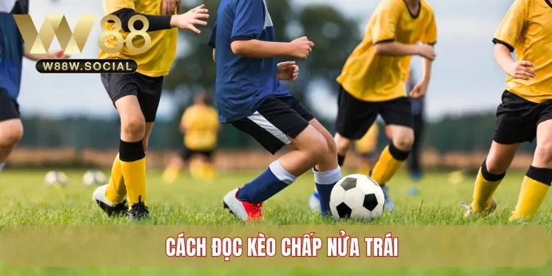 Cách đọc tỷ lệ cược chấp nửa trái trong bóng đá