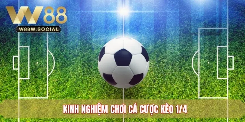 Kinh nghiệm cá cược Handicap 0.25 hiệu quả