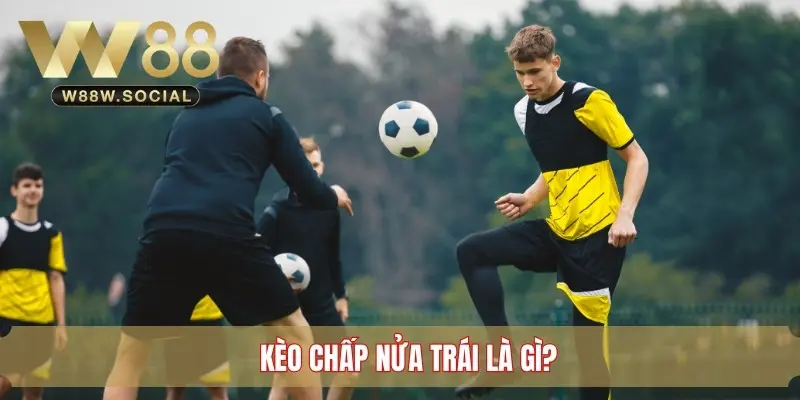 Kèo chấp nửa trái được hiểu là gì? 
