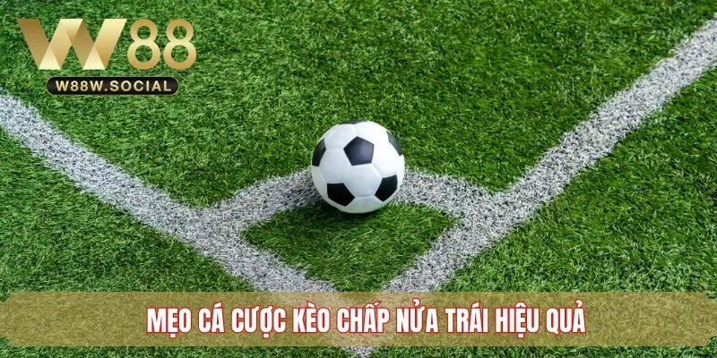 Mẹo cá cược kèo chấp nửa trái hiệu quả