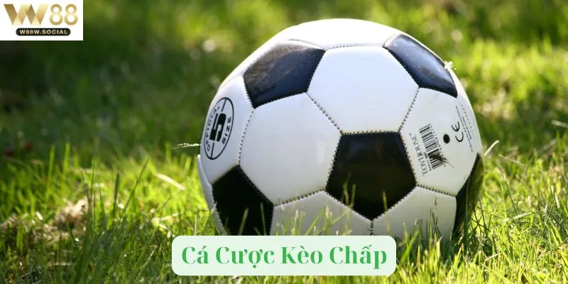 Kèo chấp trong thể thao