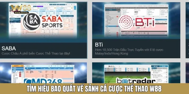 Thể thao W88 được xem là điểm đến giải trí hàng đầu châu Á